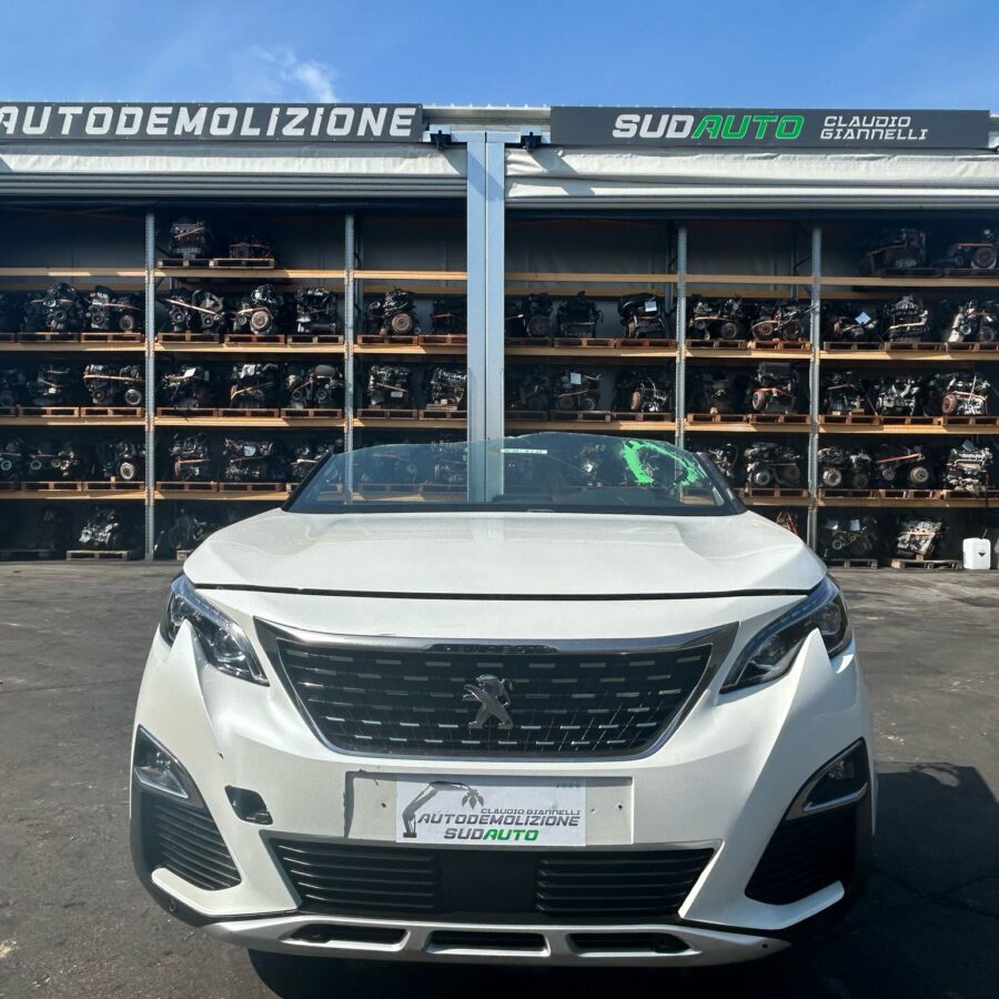 MUSATA COMPLETA USATA PEUGEOT 3008 2019 HN05 BIANCO